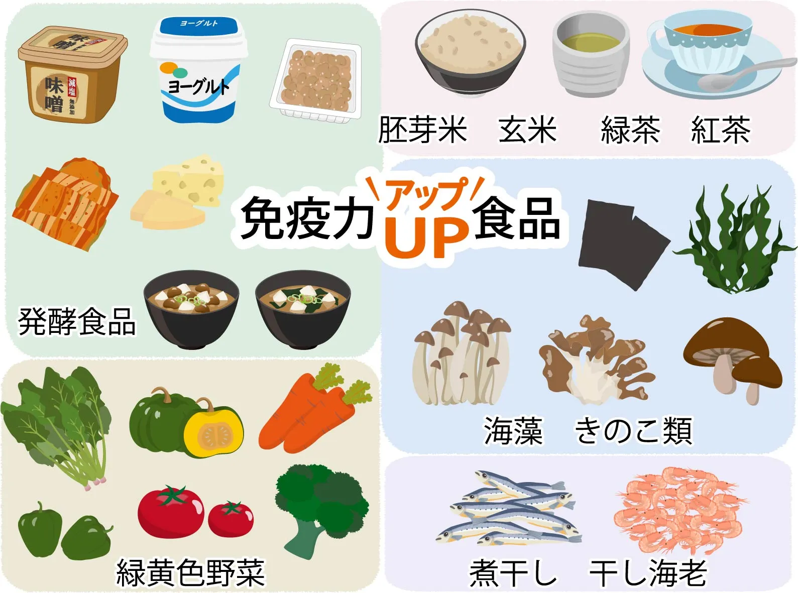 徳島の整体院が考える免疫細胞を活性化させるタンパク質やビタミン豊富な食材（肉、魚、野菜）