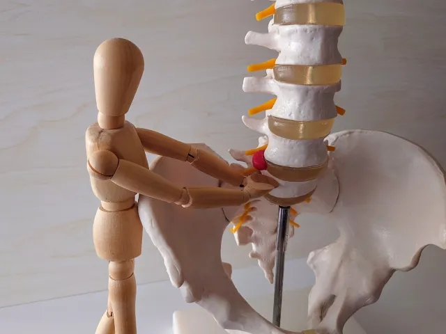 徳島市で推奨する、体の土台である骨盤を整えて全身の不調を改善するための姿勢ケア