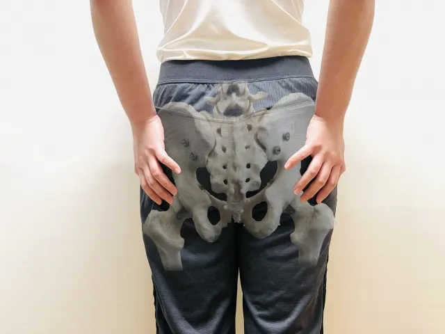 徳島すこやか整体院が解説する、妊娠・出産でリラキシンの影響を受け緩んだ産後の骨盤